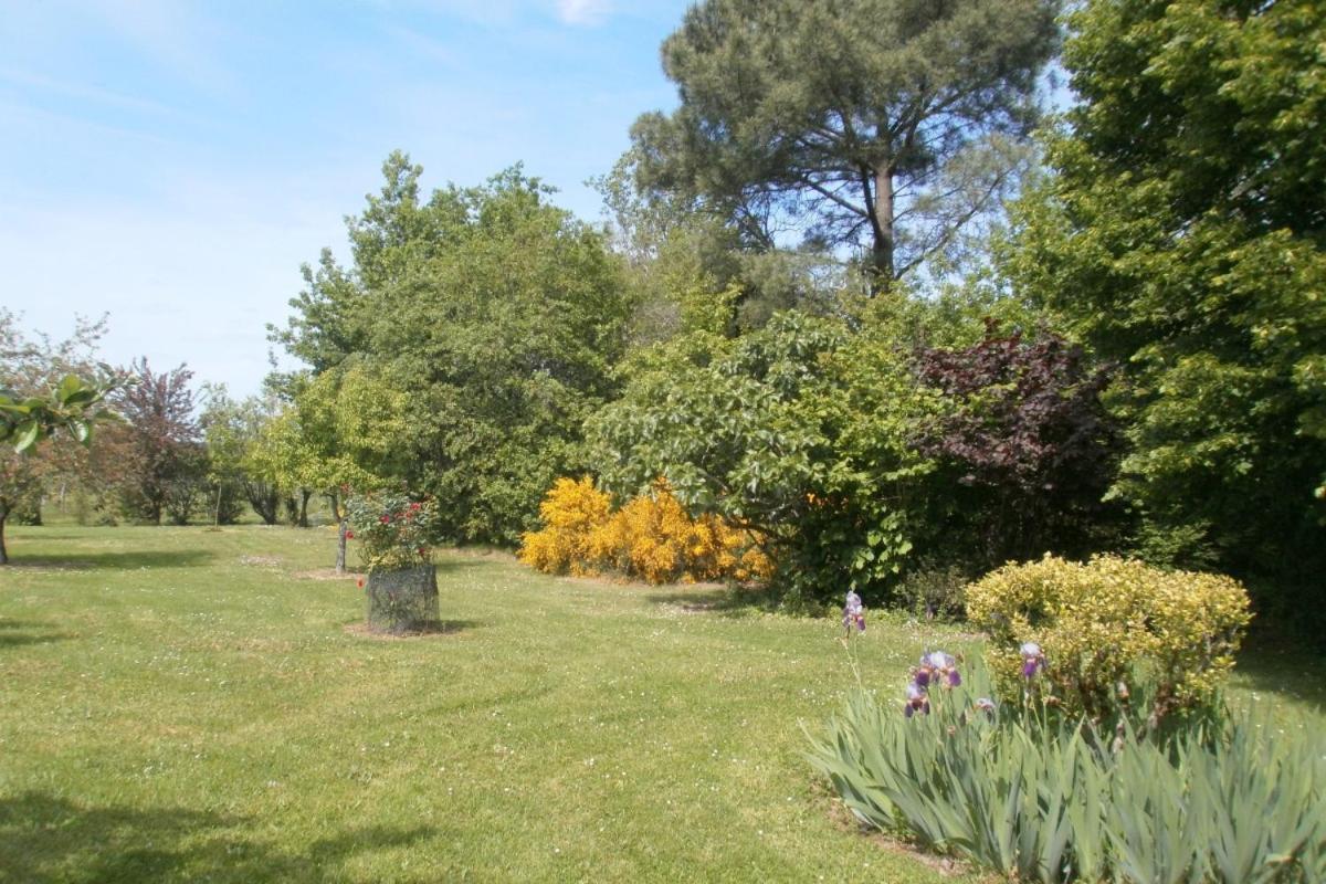 Les Glycines Villa Saint-Pierre-de-Buzet Exterior photo